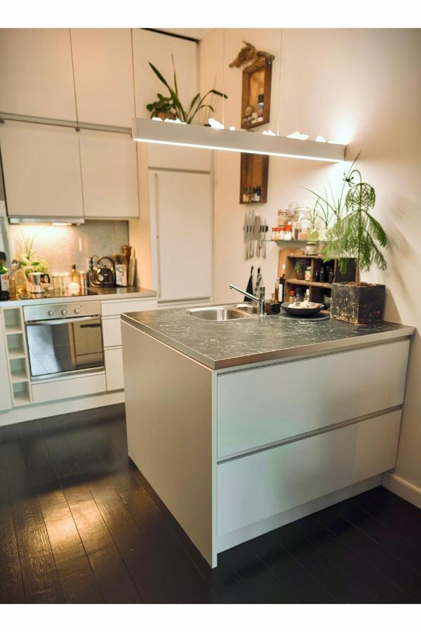 Lovely, 1898 Jugendstil Design Apartment, Old Haarlem City Centre, Fully Renovated With Parkview Near Amsterdam And Zandvoort, Bloemendaal Beach Kültér fotó
