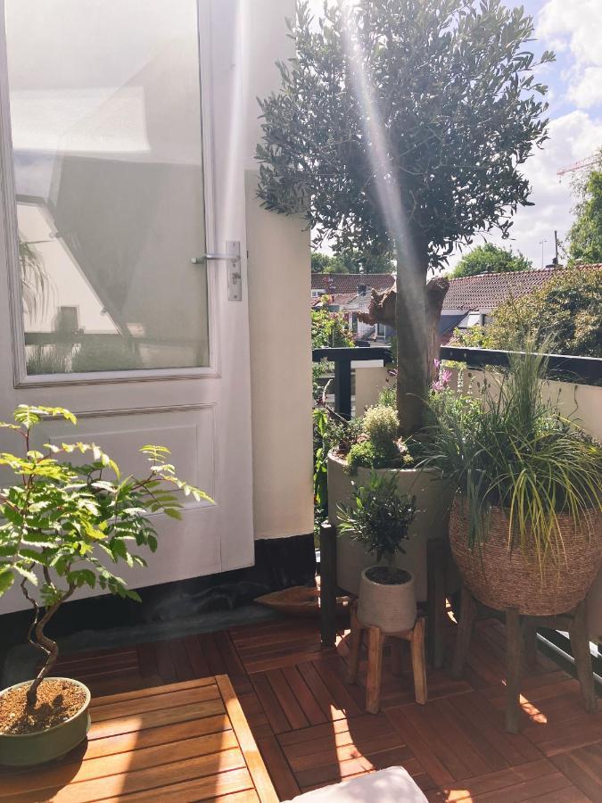 Lovely, 1898 Jugendstil Design Apartment, Old Haarlem City Centre, Fully Renovated With Parkview Near Amsterdam And Zandvoort, Bloemendaal Beach Kültér fotó