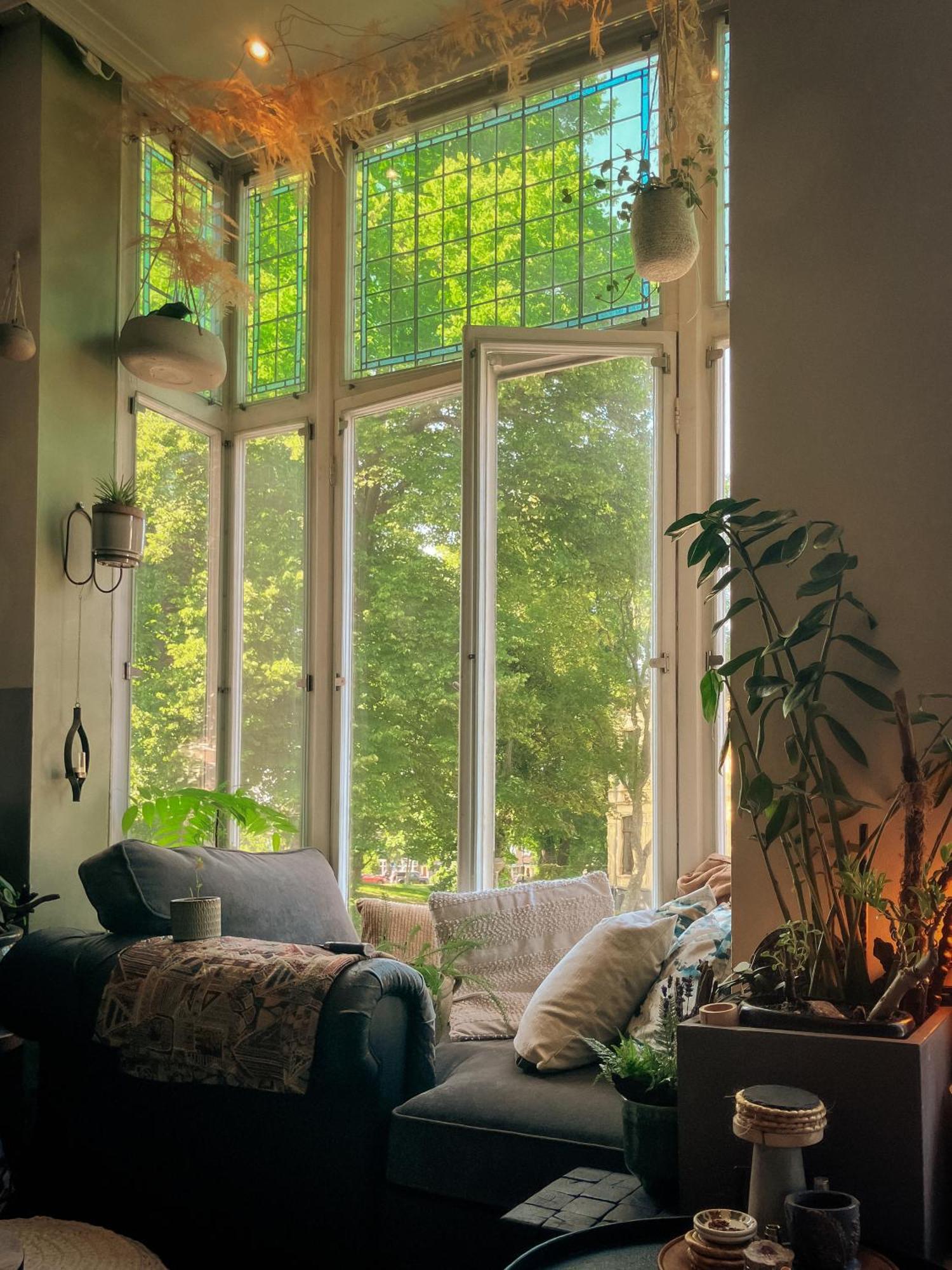 Lovely, 1898 Jugendstil Design Apartment, Old Haarlem City Centre, Fully Renovated With Parkview Near Amsterdam And Zandvoort, Bloemendaal Beach Kültér fotó