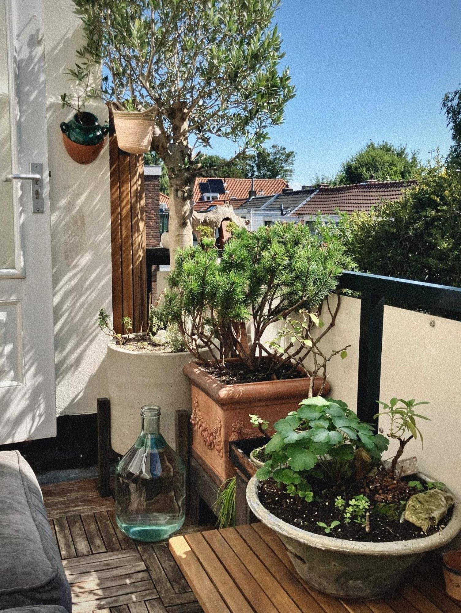 Lovely, 1898 Jugendstil Design Apartment, Old Haarlem City Centre, Fully Renovated With Parkview Near Amsterdam And Zandvoort, Bloemendaal Beach Kültér fotó